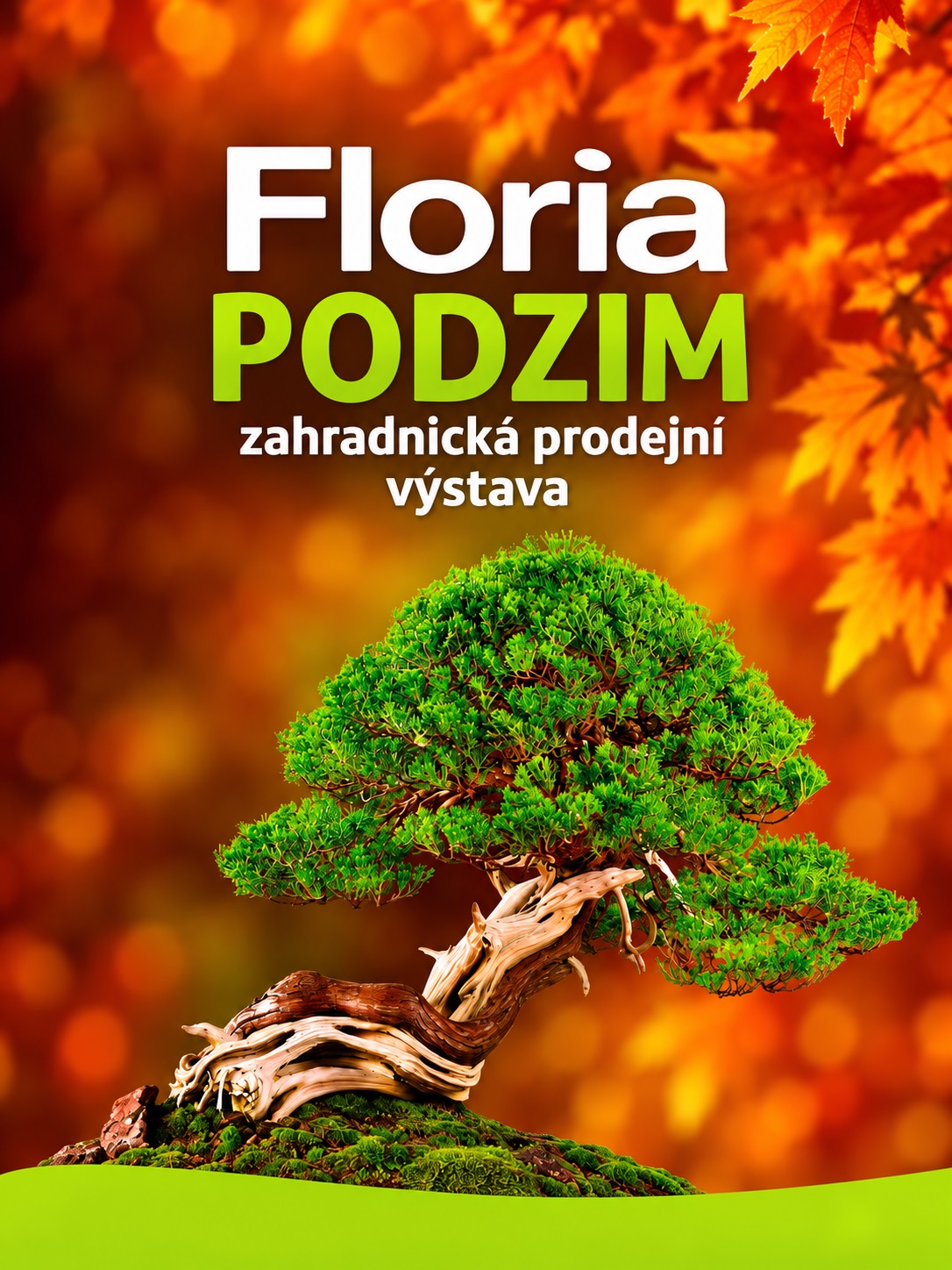 Daniel’s Donuts na výstavě FLORIA PODZIM